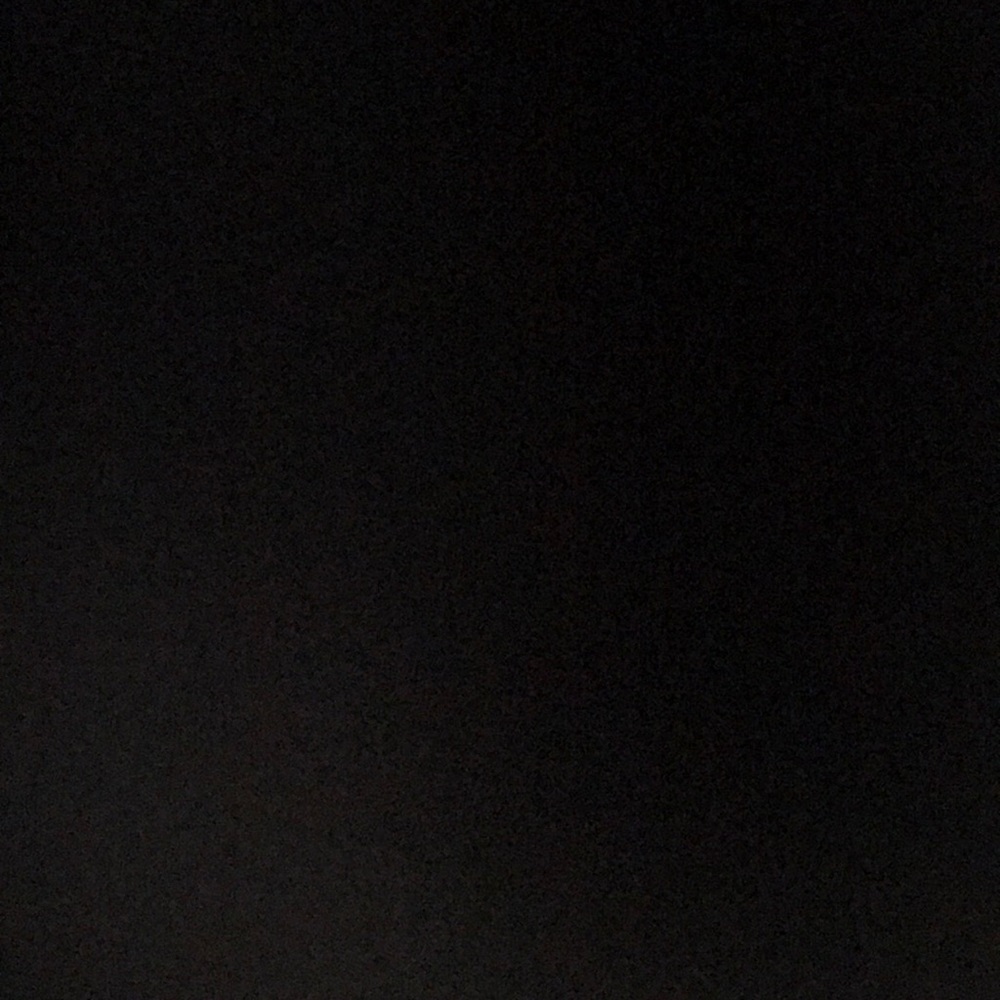 Meet your Posher, Kinsley